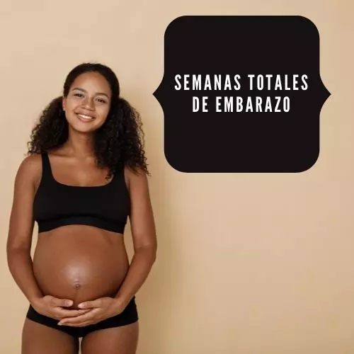 Semanas totales de embarazo [2022]