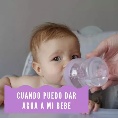Cuando Puedo Dar Agua A Mi Bebe [2022]