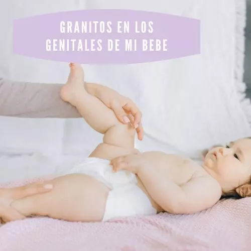 Granitos En Los Genitales De Mi Bebe