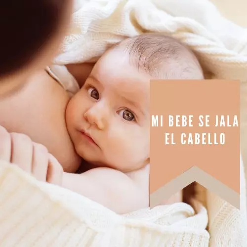 Mi Bebe Se Jala El Cabello [2022]